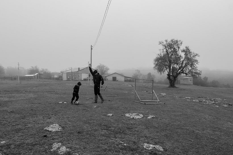 My project for course: Beginner’s Photography: Basic Camera Use and Theory - a day in the farm  2
