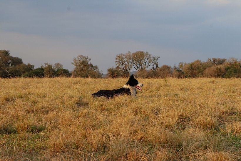 My project for course: Beginner’s Photography: Basic Camera Use and Theory - a day in the farm  9