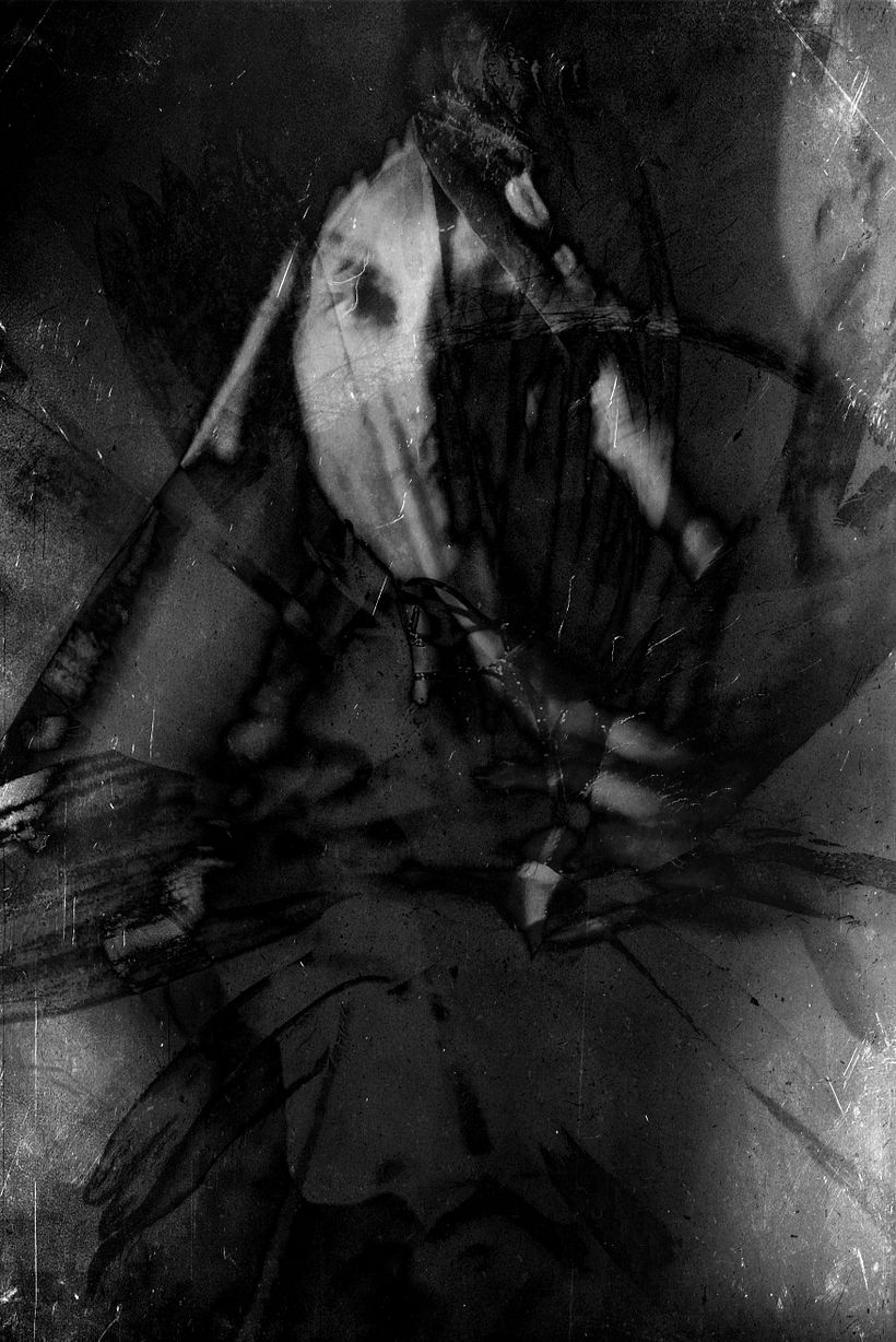My project for course: Hybrid Photography for Creative Experimentation 2