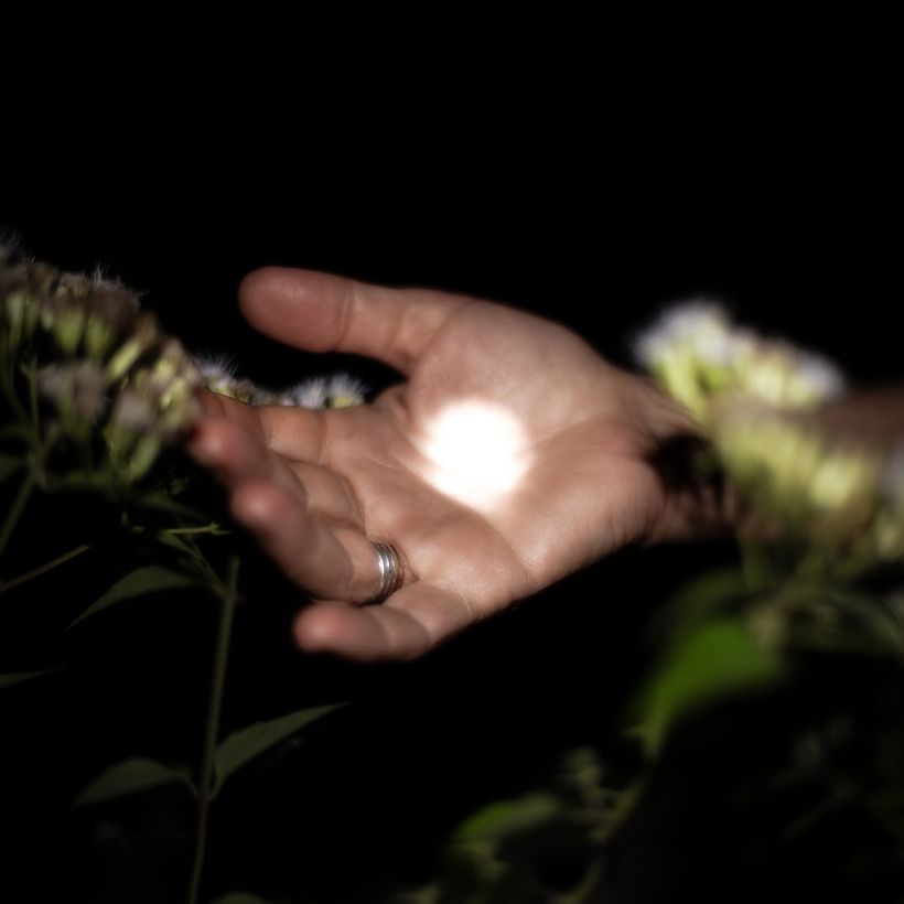 We Used to Catch Fireflies 13