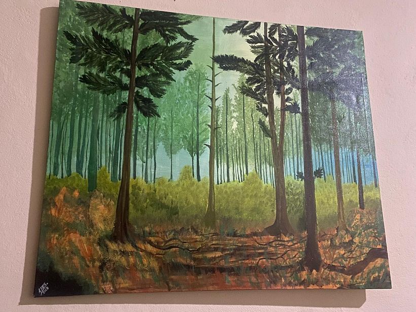 Pinturas Creativas 8