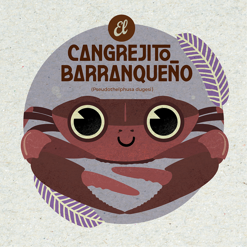 CACOMIXTLE 3
