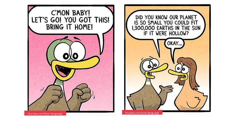 Comics by @fowllanguagecomics