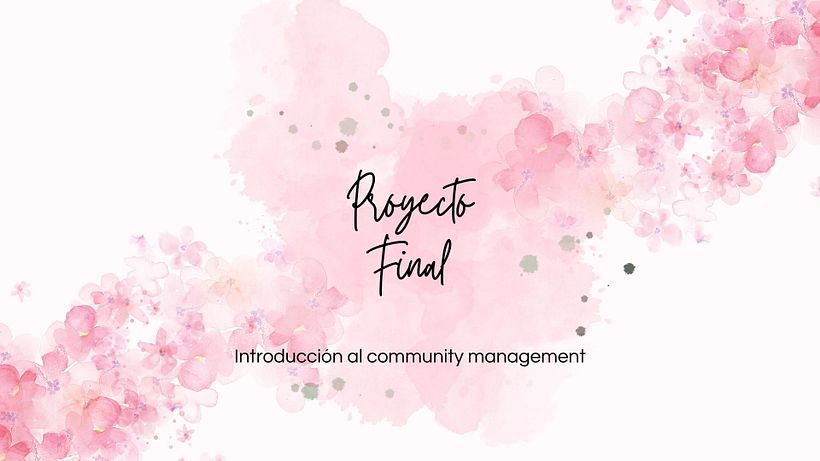 Mi proyecto del curso: Introducción al community management 2