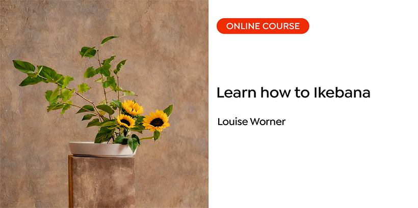 Lesson 1: Louise Worner