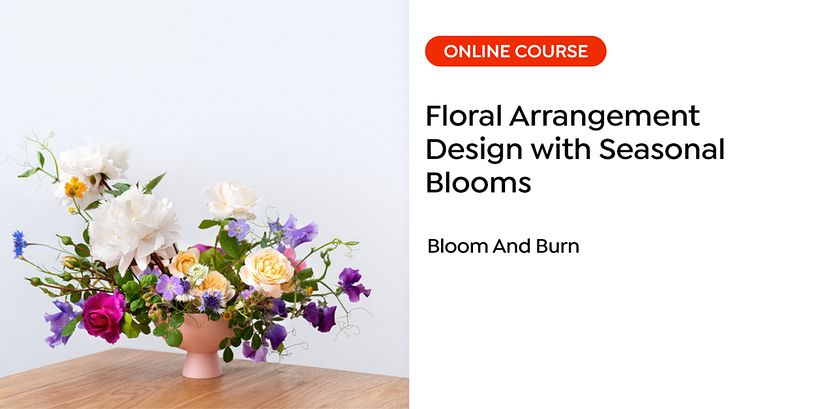 Lesson 2: Bloom and Burn