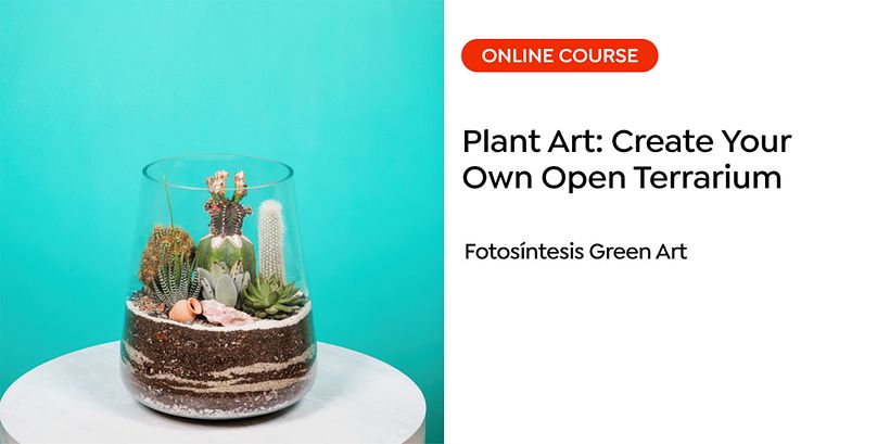 Lesson 3: Fotosintesis Green Art