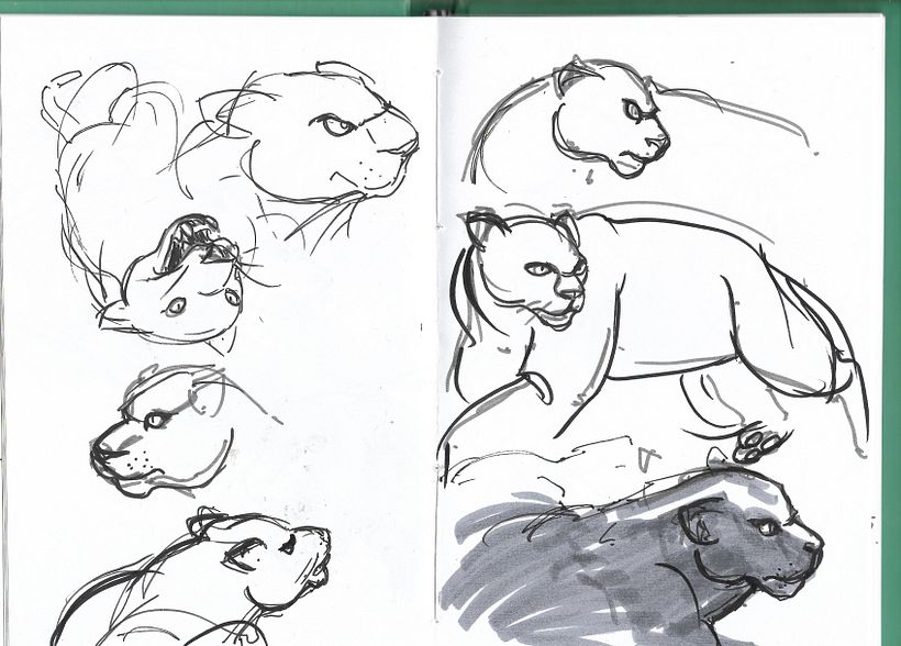 Sketches del zoológico 2