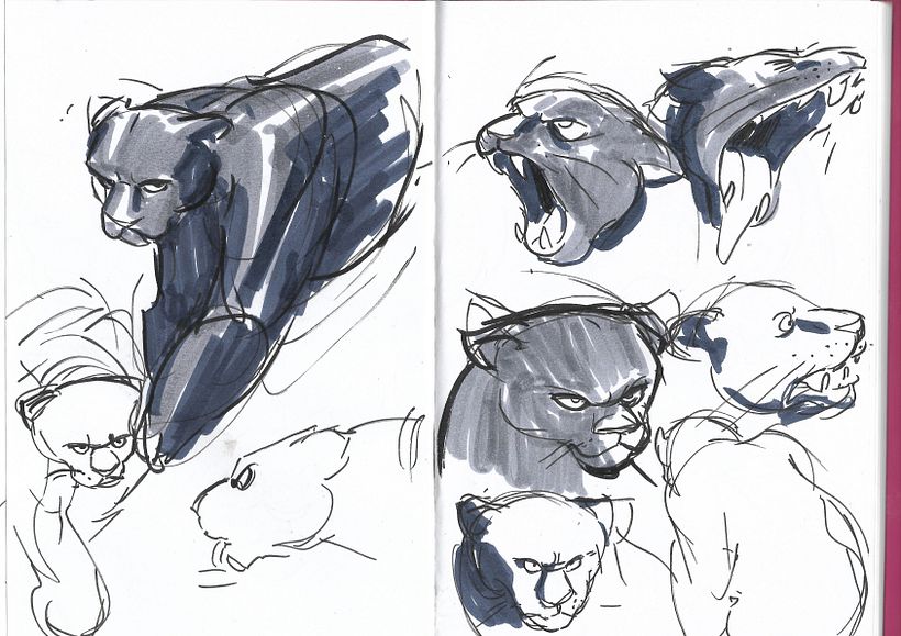 Sketches del zoológico 5