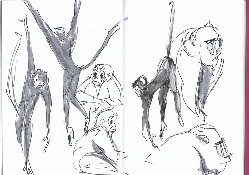 Sketches del zoológico 6
