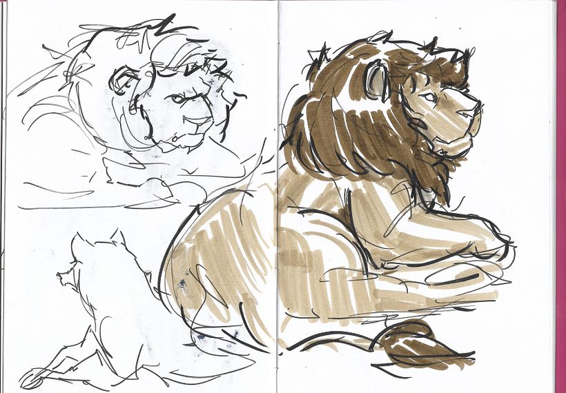 Sketches del zoológico 7