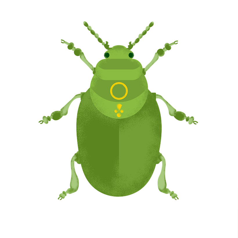My project for course: Wildlife Illustration for Children's Books 1