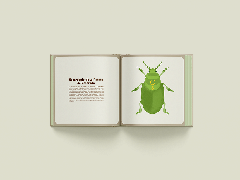 My project for course: Wildlife Illustration for Children's Books 2