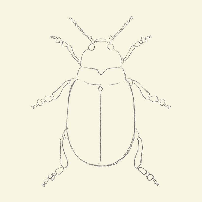 My project for course: Wildlife Illustration for Children's Books 3