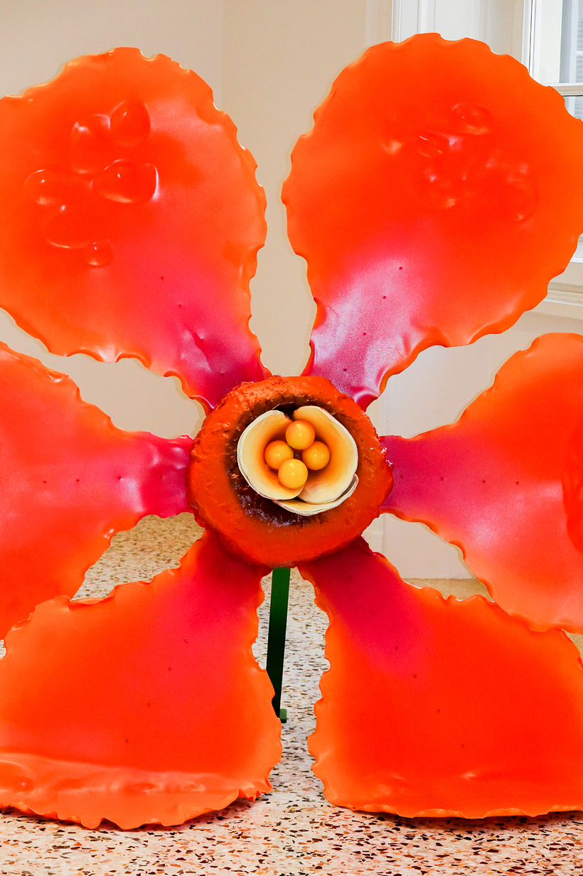"Flora Sublime" for Massimo Bonini 4
