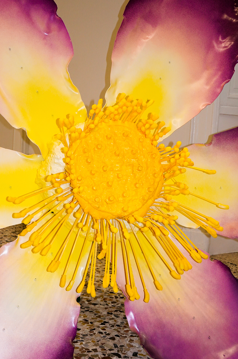 "Flora Sublime" for Massimo Bonini 5