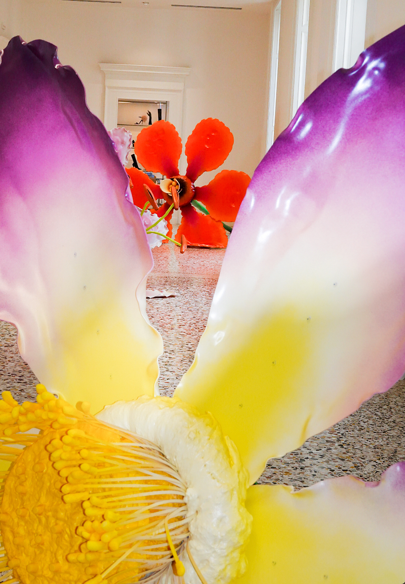 "Flora Sublime" for Massimo Bonini 6