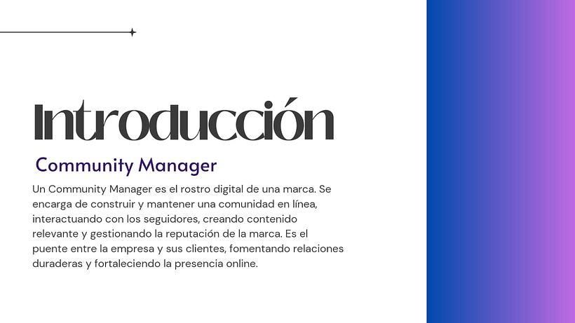 Mi proyecto del curso: Introducción al community management 5