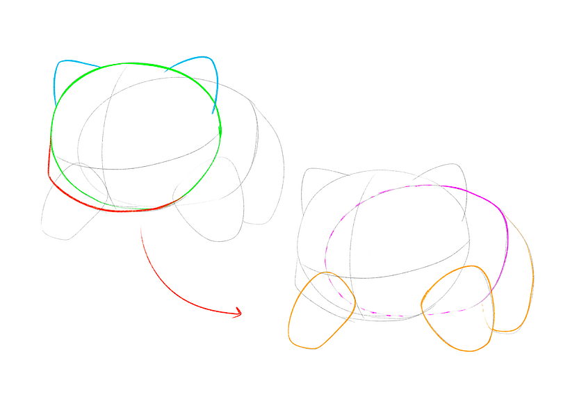 Drawing the head and body