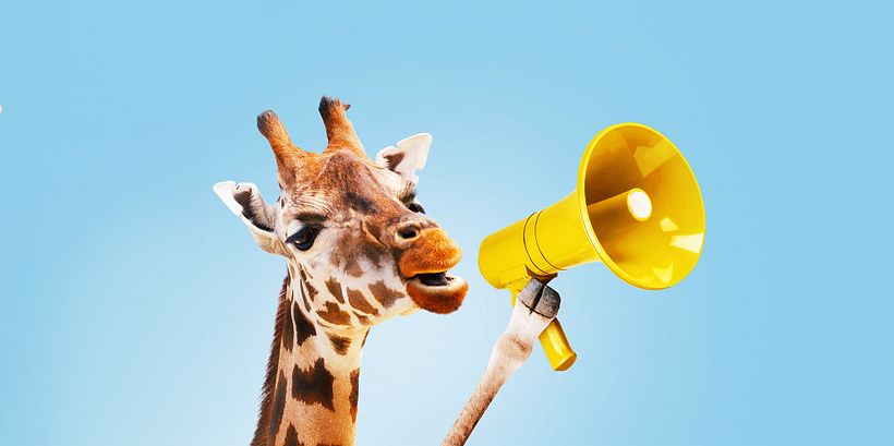 The Talking Animal