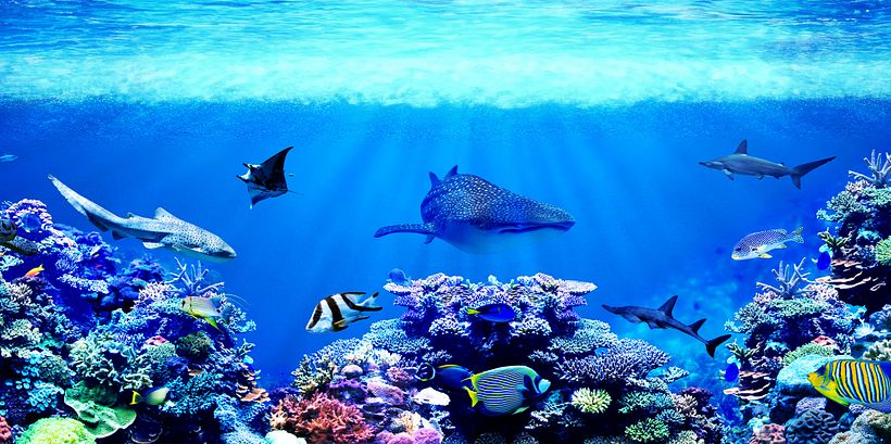 Underwater Adventure