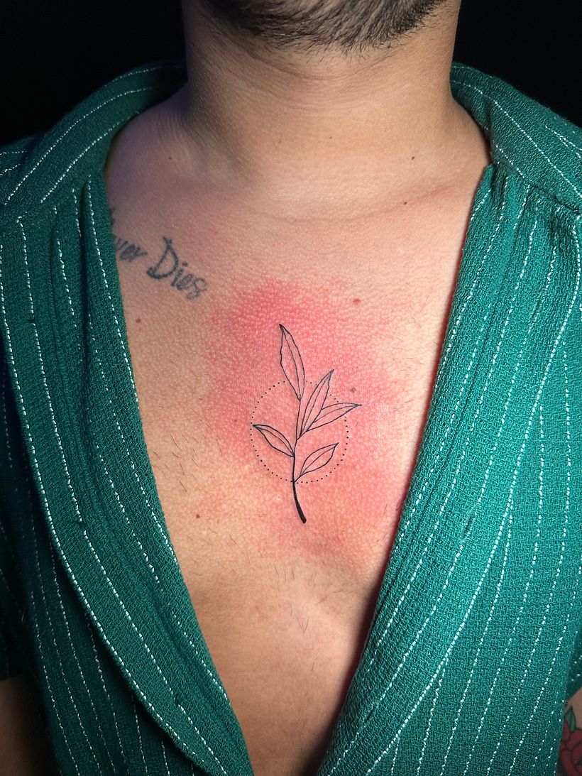Mi proyecto del curso: Tatuaje para principiantes 11