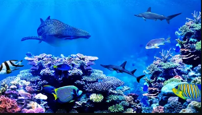 Aventura bajo el agua