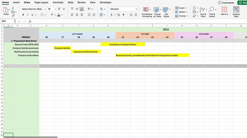 Mi proyecto del curso: Introducción a la gestión de proyectos 3
