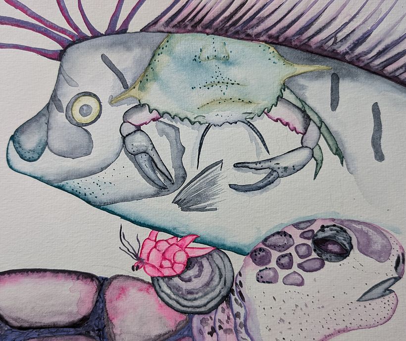 My project for course: Naturalist Illustrations with Watercolors: Drawing and Composition 1