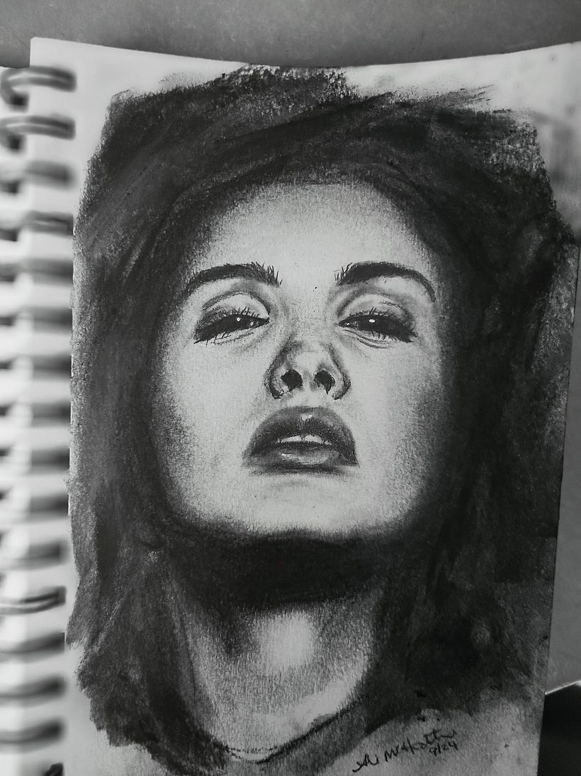 Didn't use a grid - trying to improve drawing accuracy!! Loved this exercise, thank you. :) 