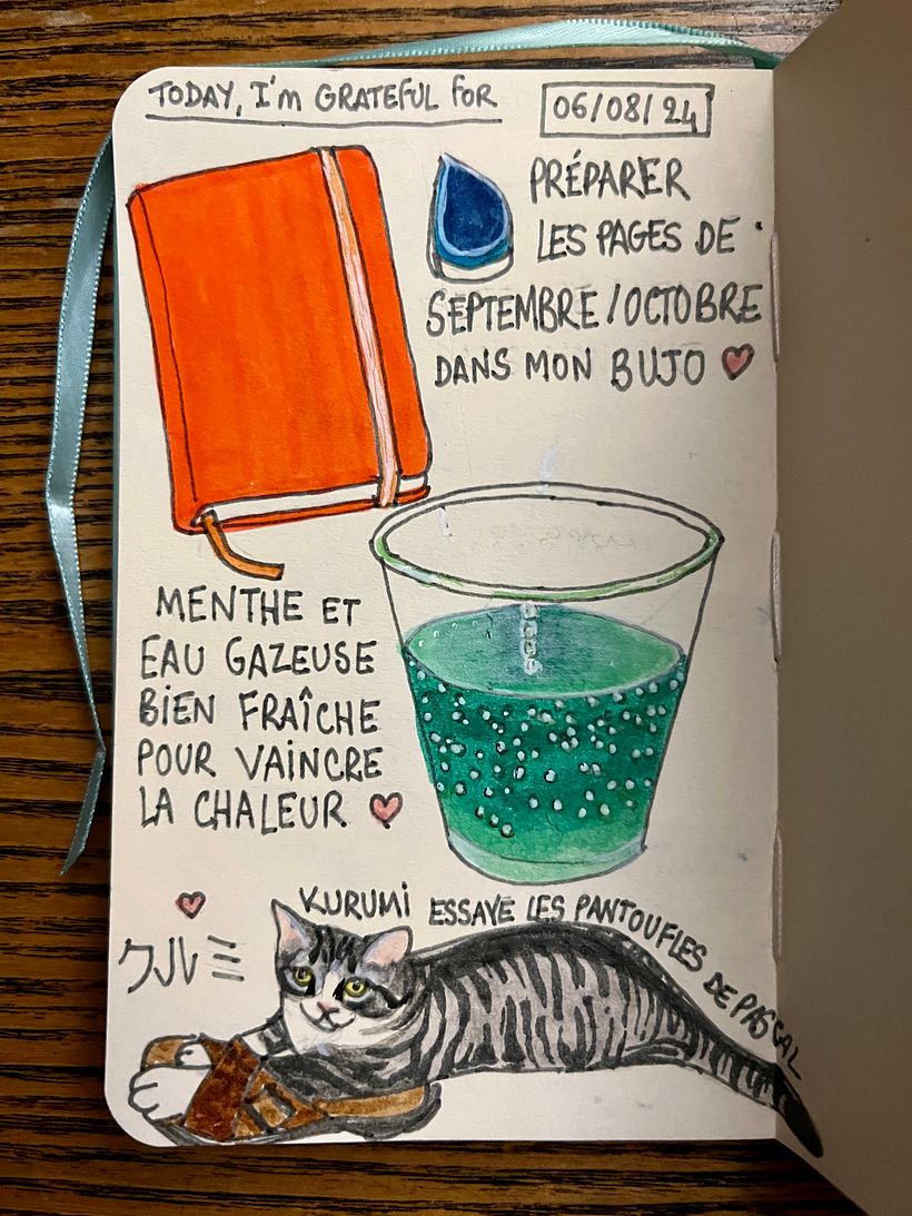 Spending the afternoon stamping months in my Bujo. Fresh sparkling mint water in the catio to ward off heat wave.
