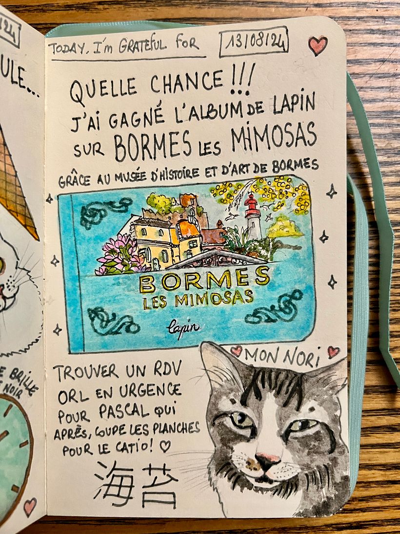 Lucky ! I'm the winner of an album by Lapin about Bormes les Mimosas <3 Finding an emergency doctor for husband's ear.