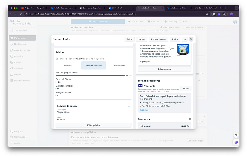 Meu projeto do curso: Google, Facebook e Instagram Ads para otimizar seus resultados 1