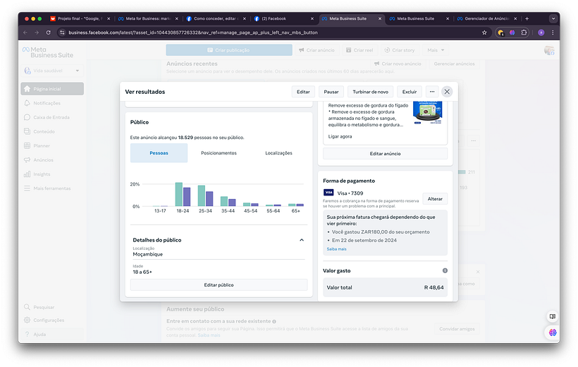 Meu projeto do curso: Google, Facebook e Instagram Ads para otimizar seus resultados 2