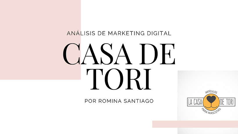 Mi proyecto del curso: Introducción al community management 3