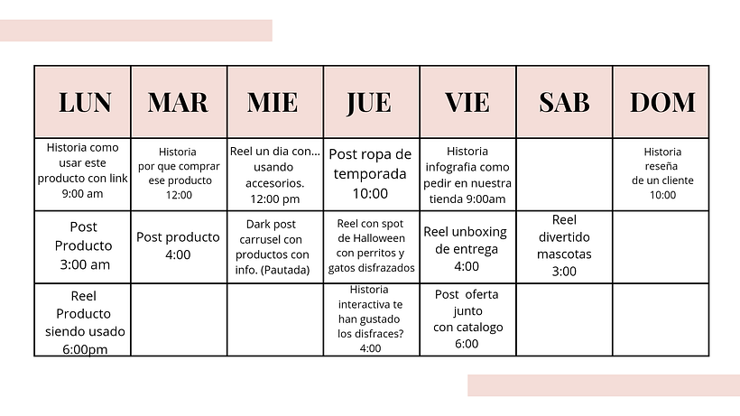 Mi proyecto del curso: Introducción al community management 9