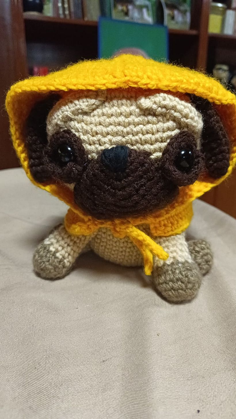 Mi proyecto del curso: Técnicas de crochet para tejer amigurumis 1
