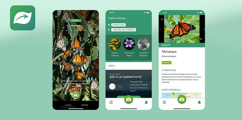 Seek App