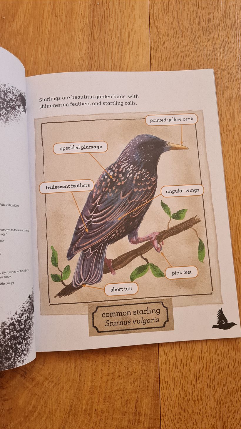 Setting the scene for young readers