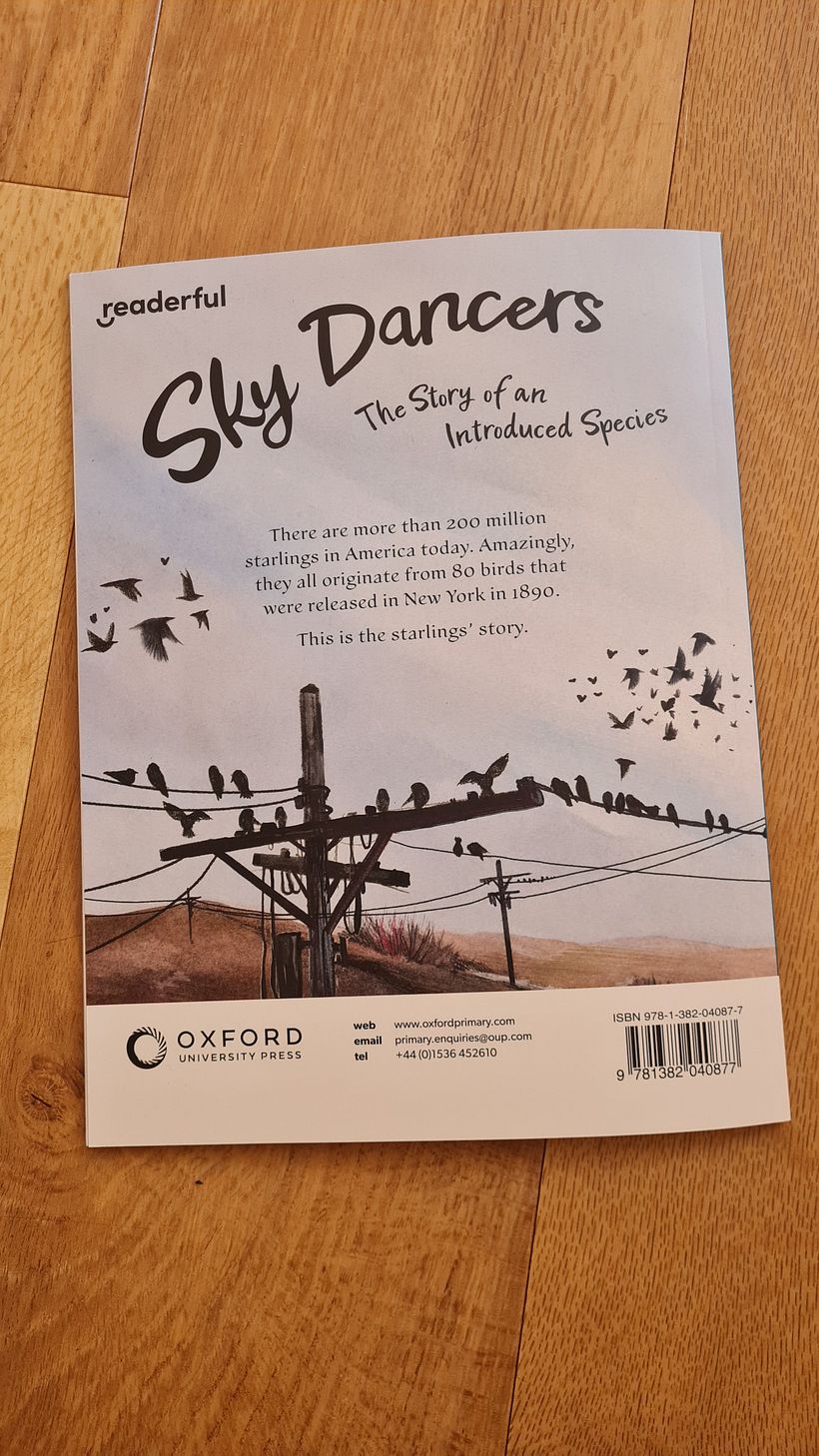 Back cover blurb