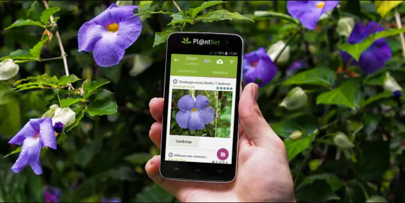 Pl@ntNet App