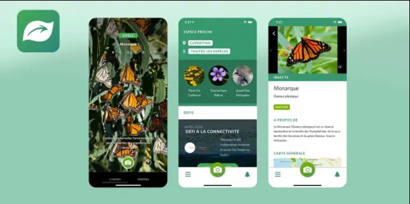 Seek App