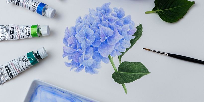 Botanical Watercolor Illustration: Cross-Hatching Technique