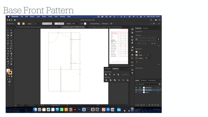 My project for course: Patterning with Adobe Illustrator 14