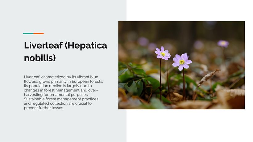 My project from the course: Creating presentations using AI 9