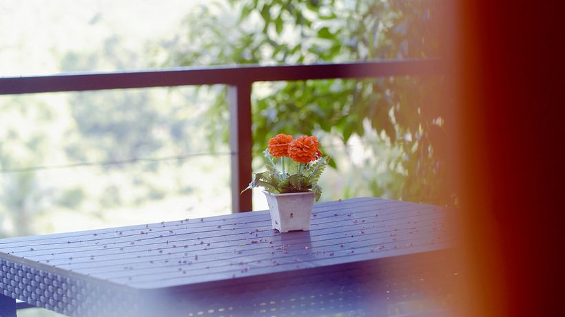 My project for course: Beginner’s Photography: Basic Camera Use and Theory 1