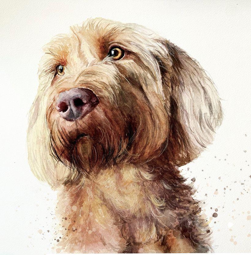 Much of the lightest fur on the body was achieved using white gouache tinted with a bit of watercolour.