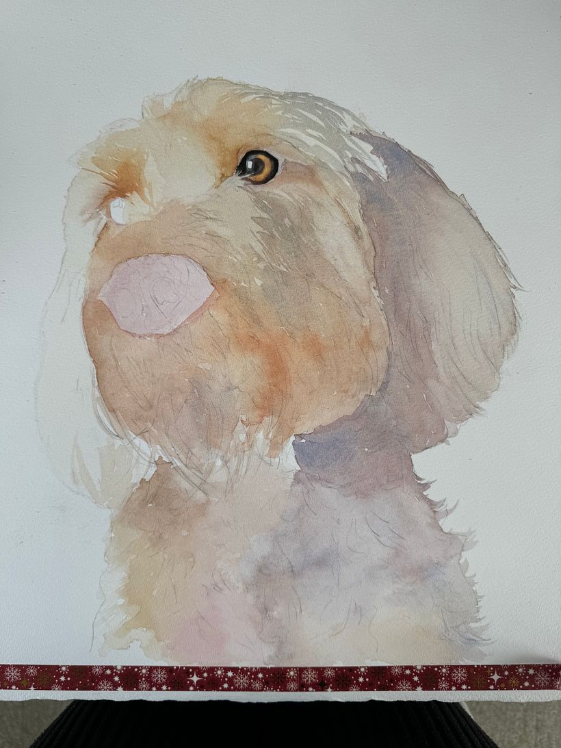 I always establish the lightest colours wet into wet first and then move on to the eye, to help me assess tone!