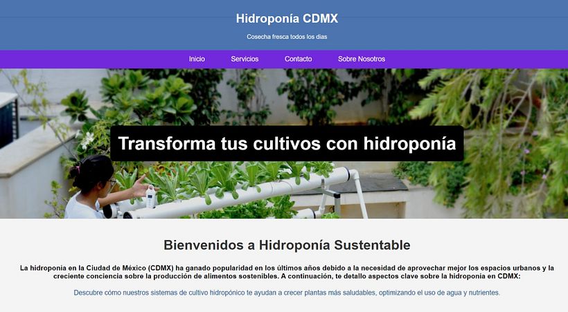 Mi proyecto del curso: Introducción al Desarrollo Web Responsive con HTML y CSS 3