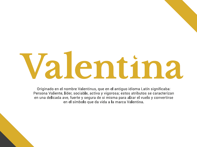 Valentina My project for course: Branding and Identity: Construction and Development of a Brand 2